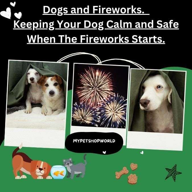 Dogs and Fireworks. Keeping your dog calm and safe when the fireworks starts.