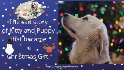 The christmas story of Kitty and Puppy