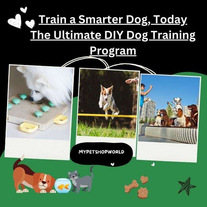 The Ultimate DIY Dog Training Program. Brain training for dogs