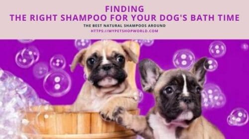 what is the best puppy shampoo