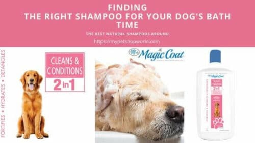 Magic coat conditioner and shampoo for your dog 