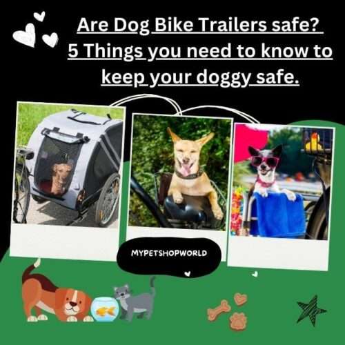 Are Dog Bike Trailers safe? 5 Things you need to know to keep your doggy safe.