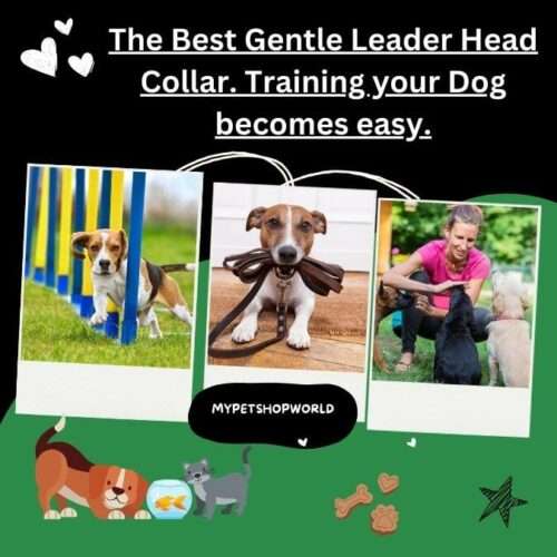 The Best Gentle Leader Head Collar. Training your Dog becomes easy.