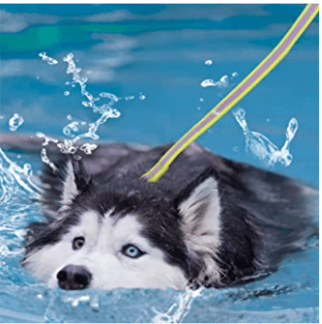reflective dog training leash waterproof