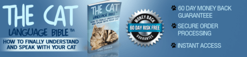 the average life span of a cat. The cat bible helps you to understand your cat