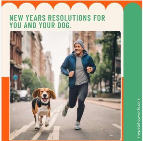 New Years Resolution for you and your dog