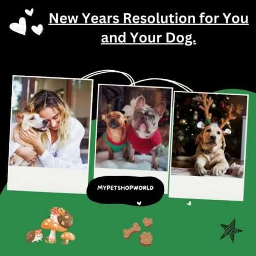 New Year resolution for your and your dog