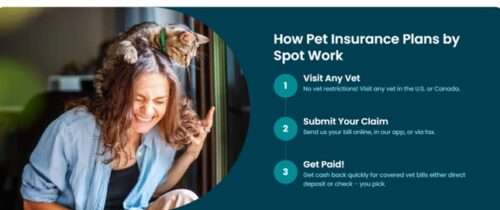 Pet Insurance for your Pet. Choose Spot the best in America