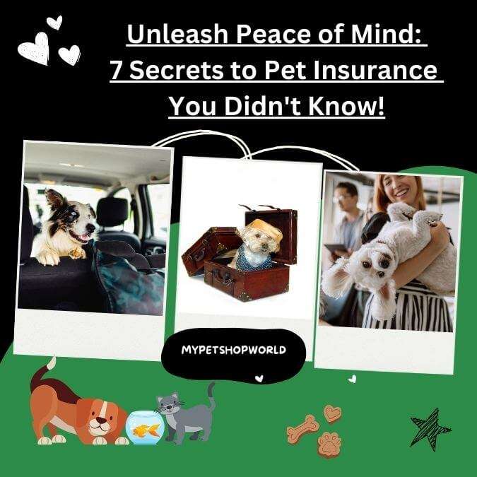 Unleash Peace of Mind: 7 Secrets to Pet Insurance You Didn't Know!