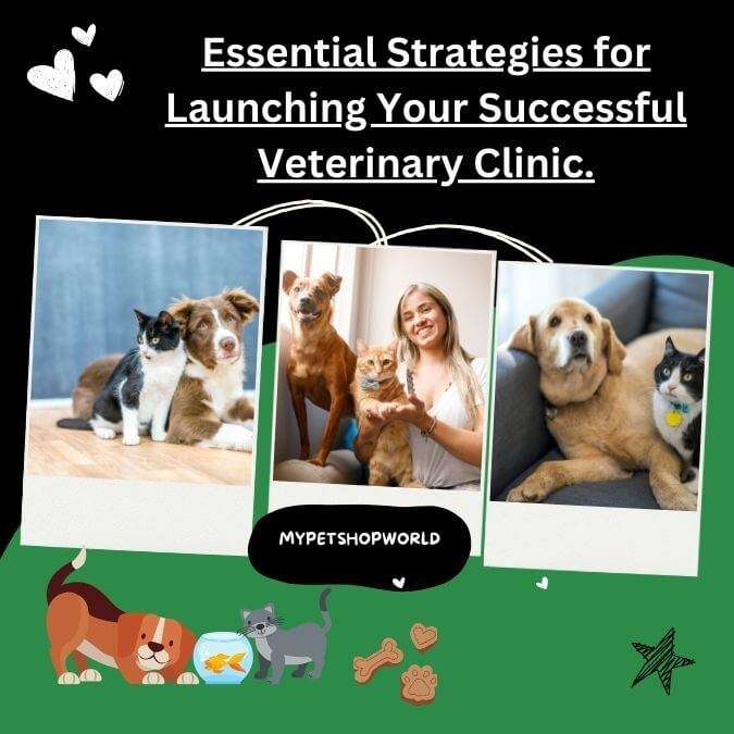 Essential strategies in launching your successful veterinary clinic