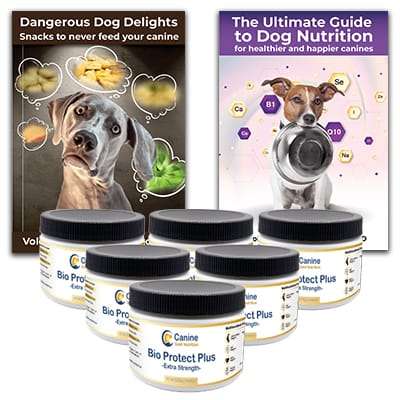 Dog food for Joint Health. What food is dangerous for your dogs joints