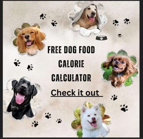 Free Dog Food calorie Calculator 