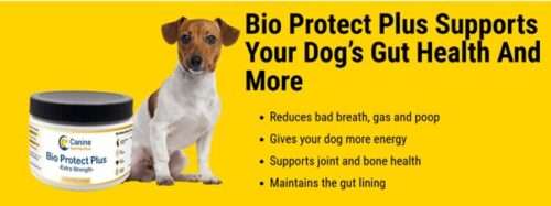 Bio Protect Plus Keep your dog healthy 