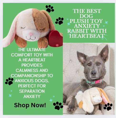  Rabbit Plush Toy for dog anxiety with a heart beat . The best way to help your dog overcome it 