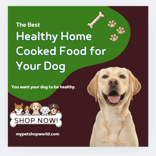 How healthy is your dog food. Dog food that can harm your dog 