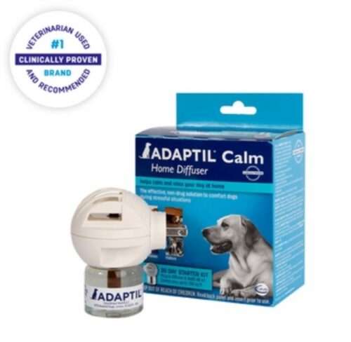 Adaptil the best product to help your dog overcome dog anxiety.