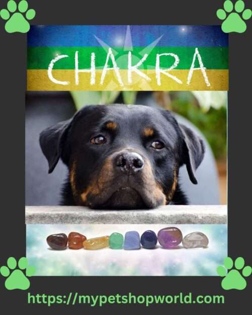 Learn to decode animal chakras with kinesiology. Discover physical & emotional signs of imbalance & find solutions.