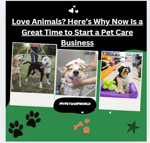 Love Animals. The best way to open a pet business why it is a thriving oppoturnity?