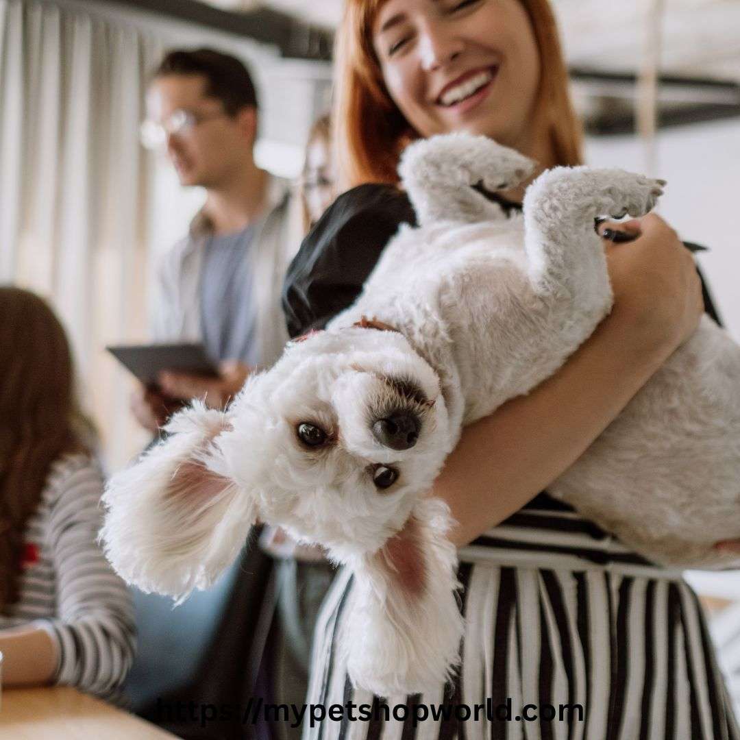 How to start a pet boarding business with your community pets