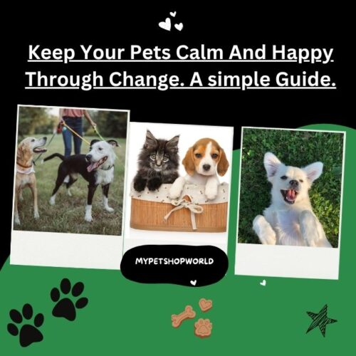 Calm and Happy Pets. Why are my pets so stressed when their is change?